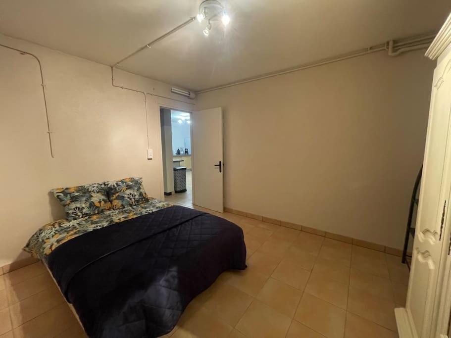 Appartement Independant En Rdc Chez Habitant Lannemezan Zewnętrze zdjęcie